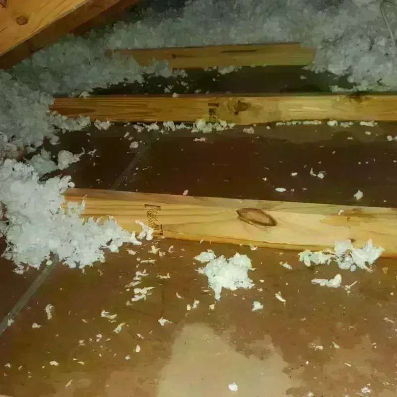 Attic Water Damage in Angola, NY